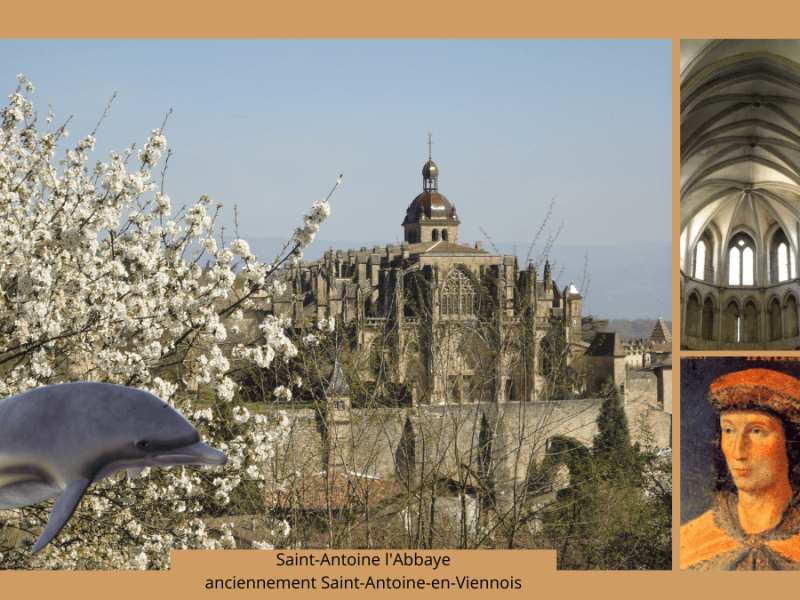 Le Dauphin, cétacé royal