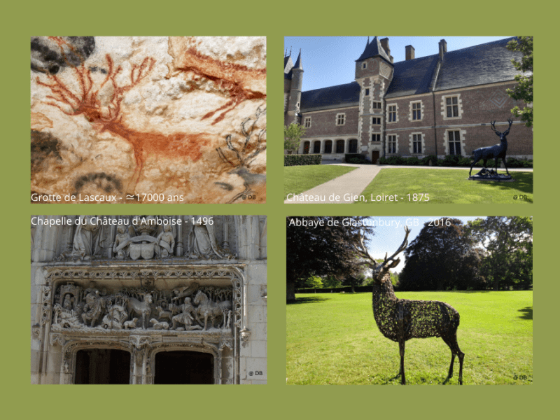 Chaque année, le Cerf se refait … Du mythe à l’éternité