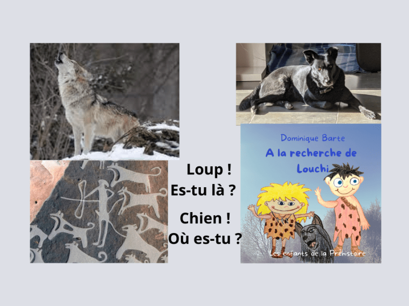 Loup/chien, depuis quand côtoies-tu les hommes ?