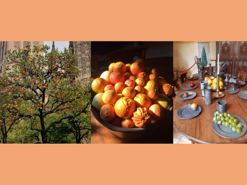 Si l&rsquo;orange m&rsquo;était contée…